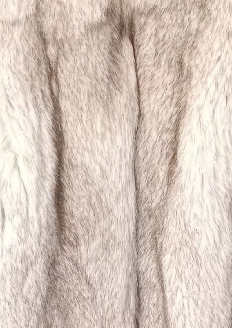ARCTIC FOX II | WINTER CLOUD