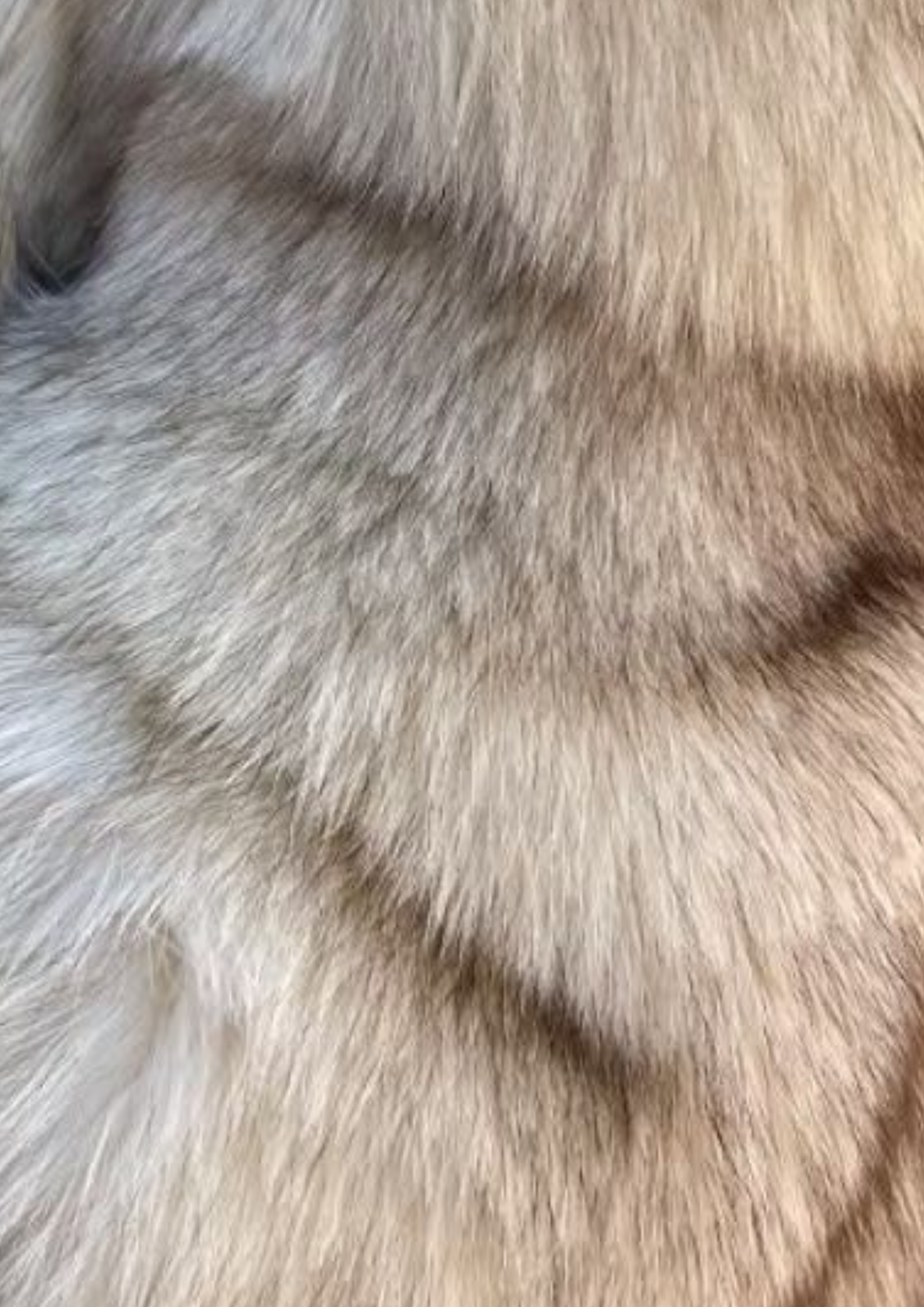 ARCTIC FOX III | GLACIAL SHADOW