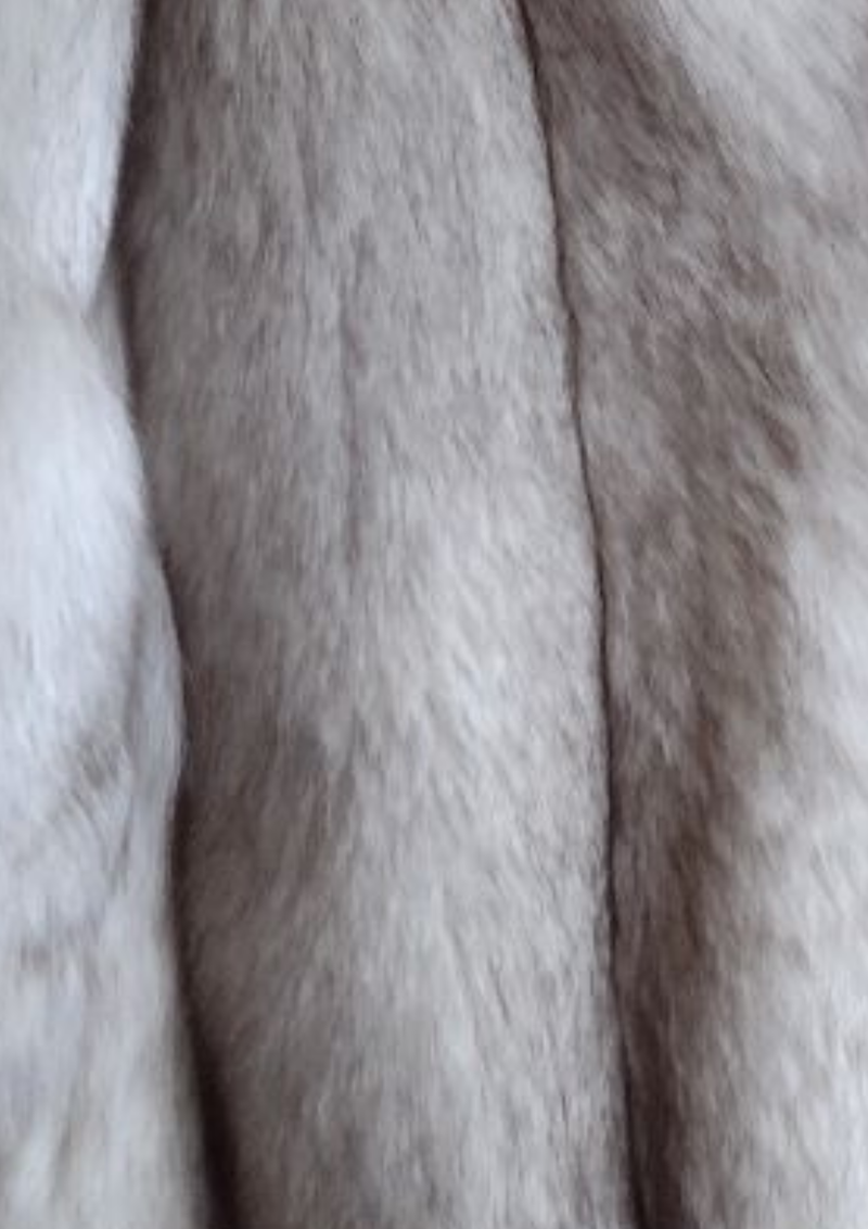ARCTIC FOX I | SILVER FROST