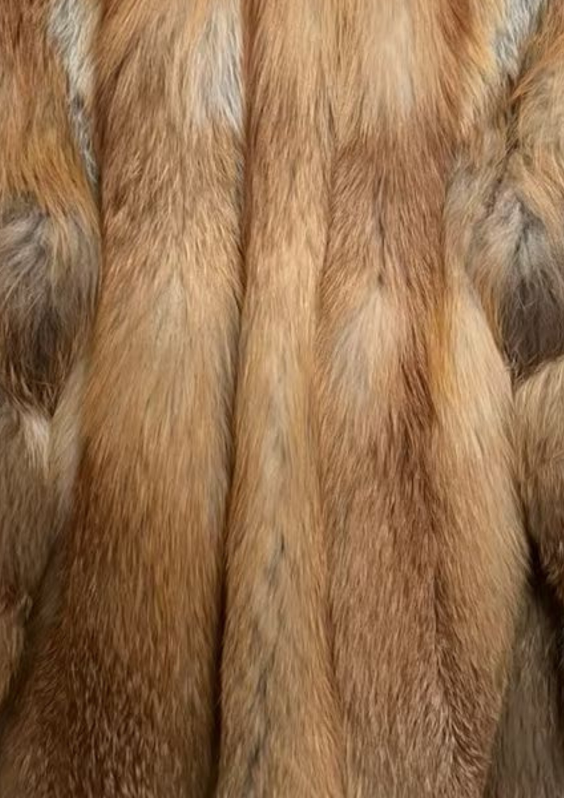 RED FOX II | GOLDEN BLEND